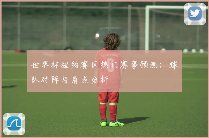 世界杯纽约赛区热门赛事预测：球队对阵与看点分析